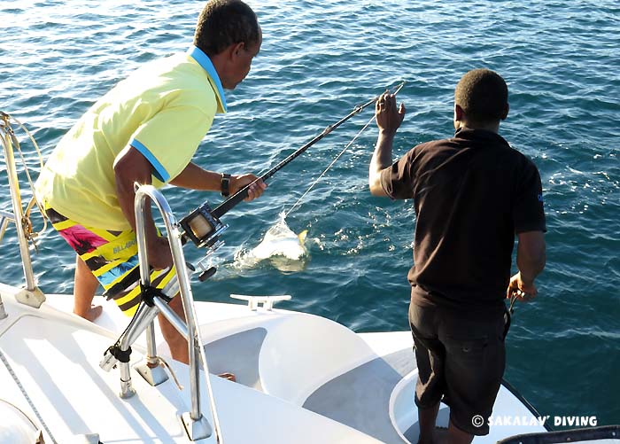 Liveaboard diving cruise in Madagascar